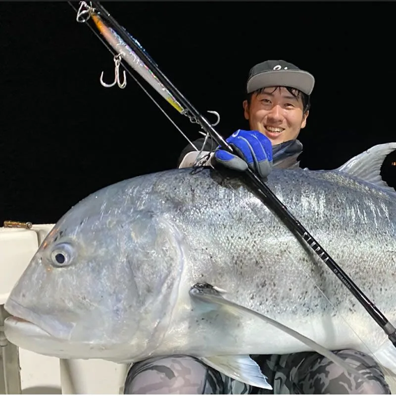 ZENAQ Caña SINPAA SC81-80G Hiramasa