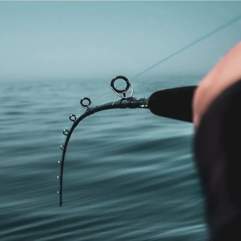 DAIWA Caña HARRIER X JIGGING HRX66MS