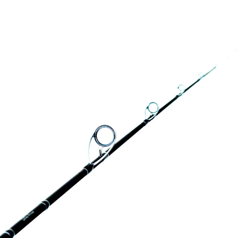 BADFISH caña Graphite Slow S562 30-300g