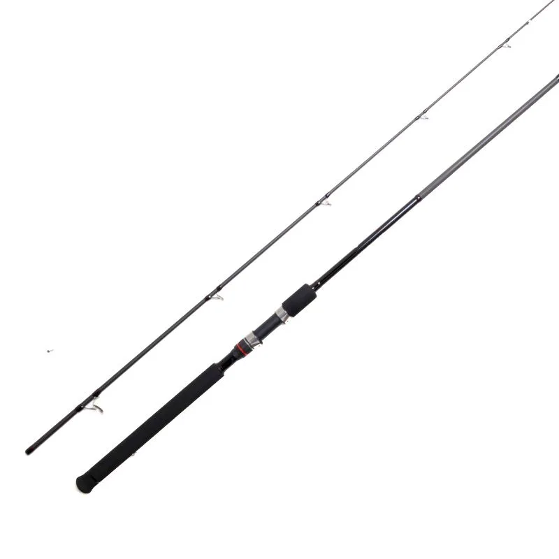BADFISH caña Shore MASTER 20-80 g