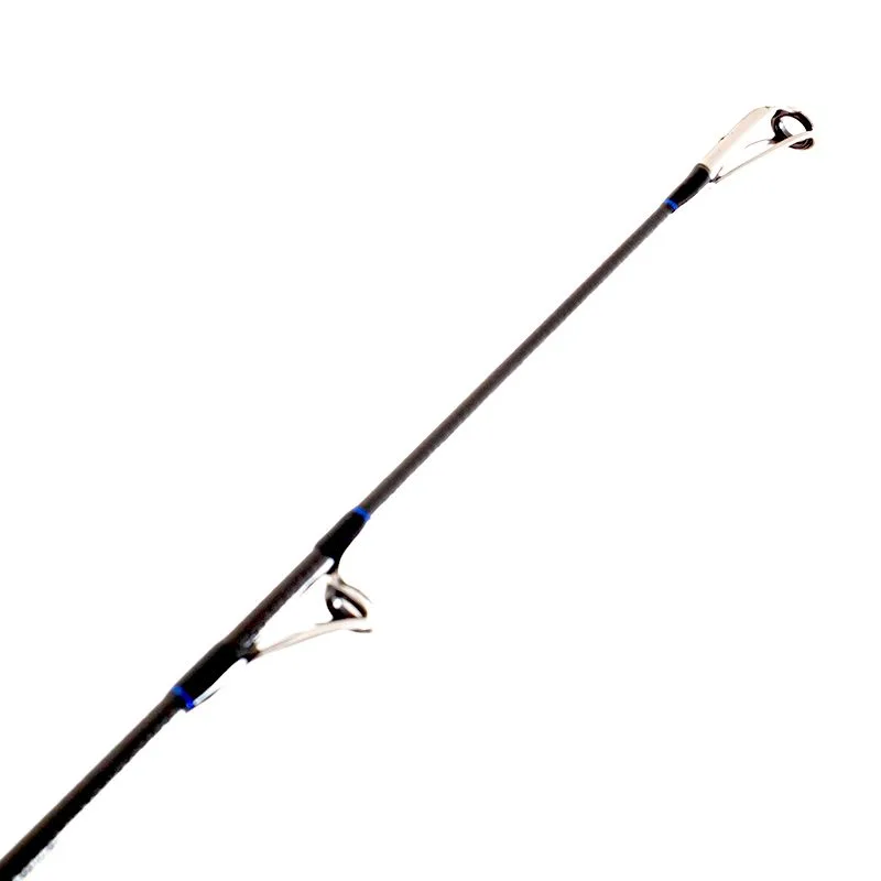 BADFISH caña Shore MASTER 20-80 g